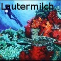 JohnLautermilch