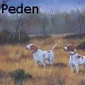 JohnPeden